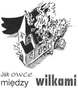 Jak owce z wilkami 